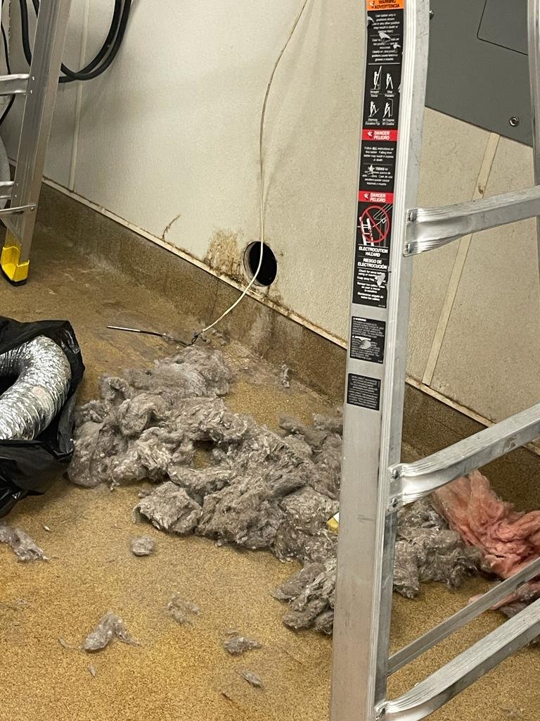 Pile of lint pulled from a commercial dryer vent with ladder