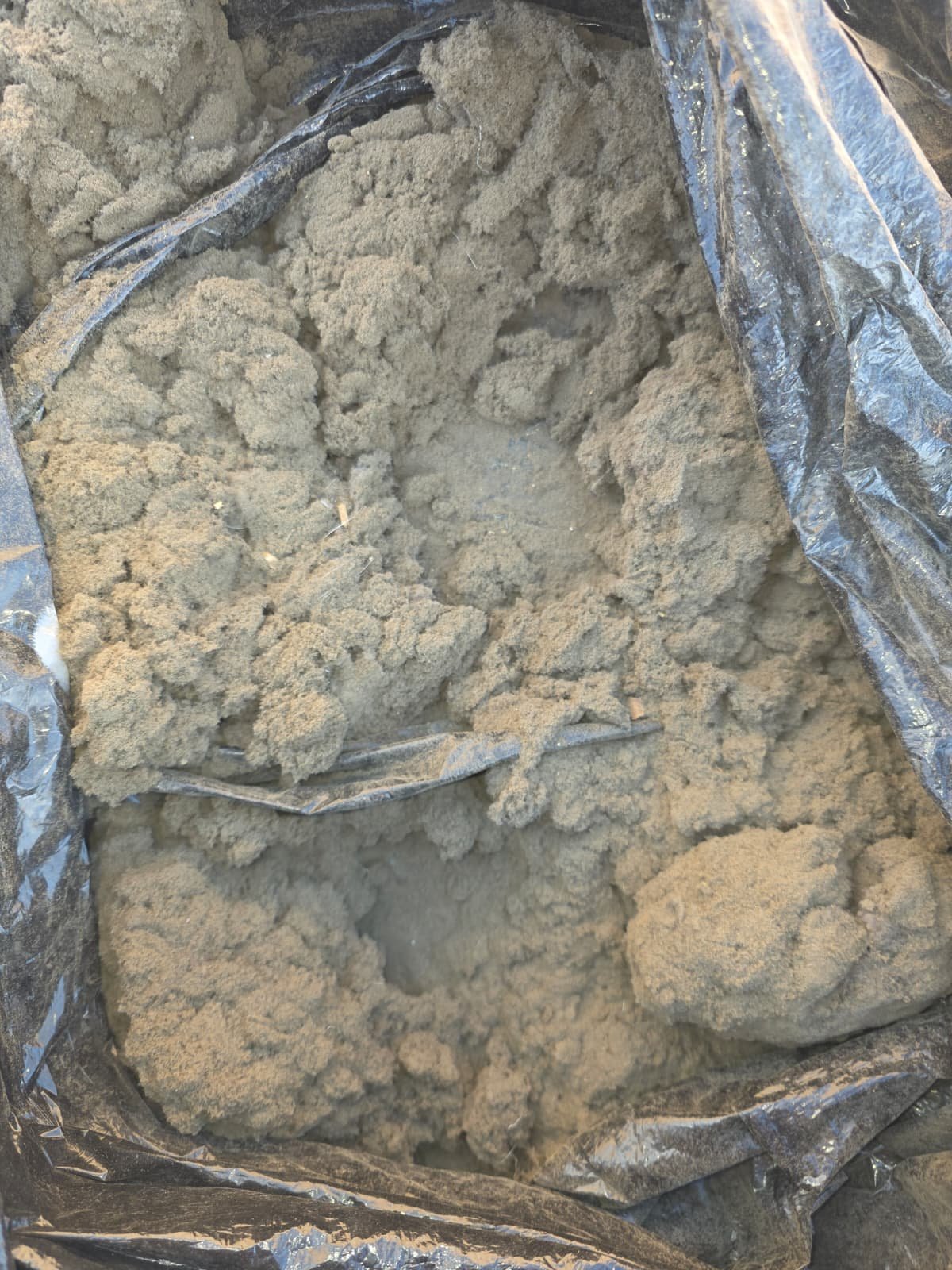 Bag filled with lint pulled from dryer vents