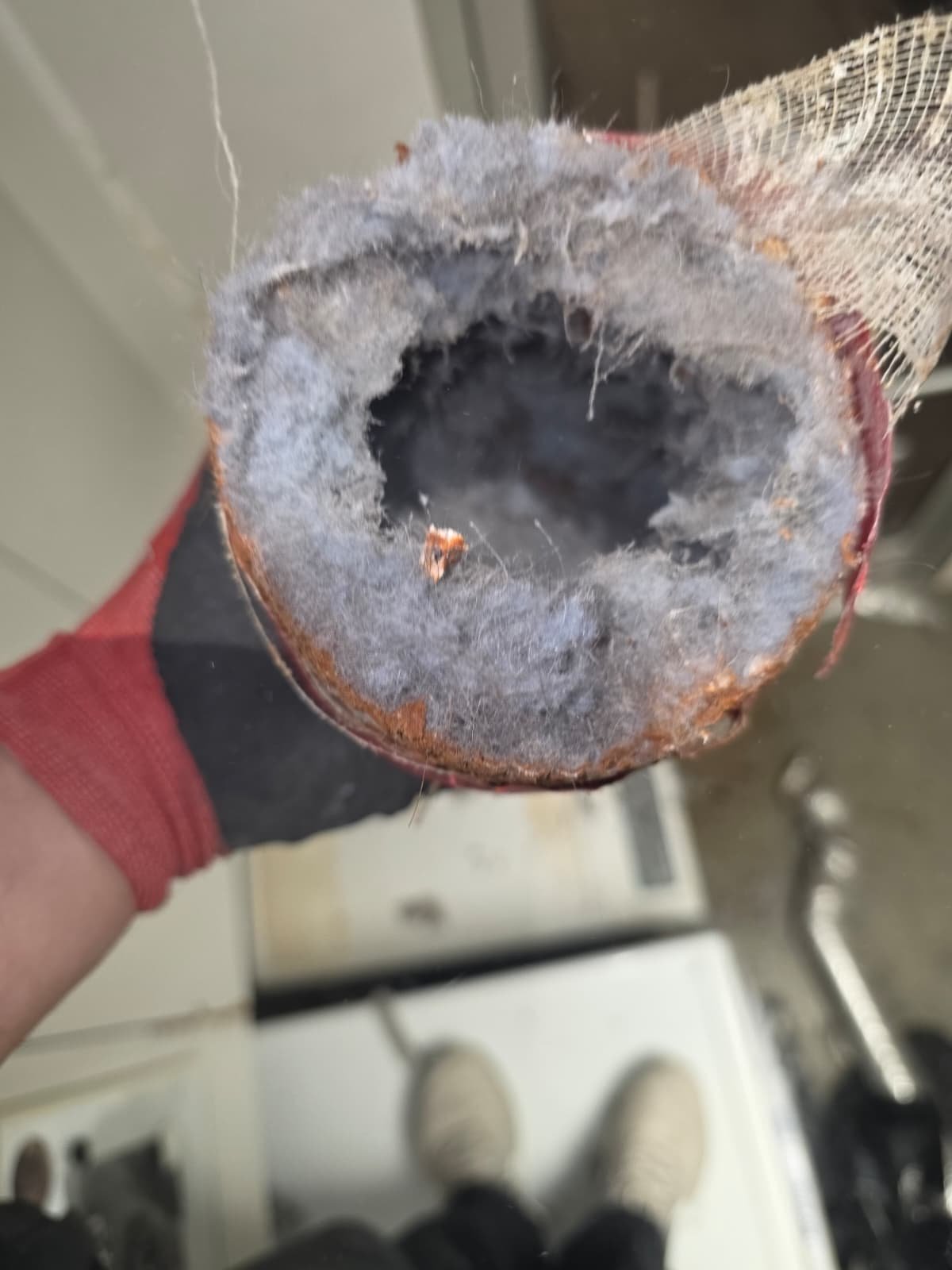 Dryer vent completely clogged with packed lint