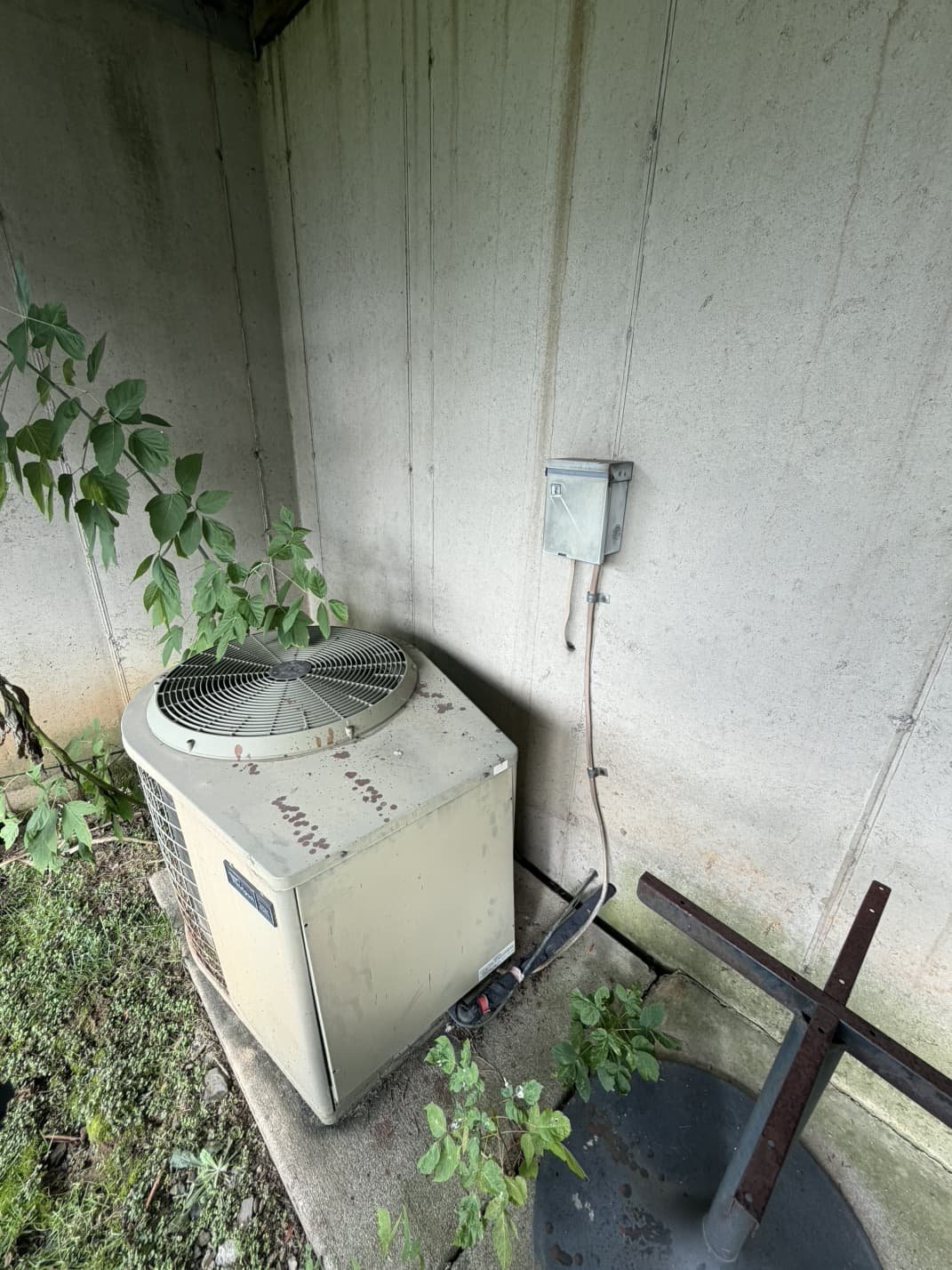 Old AC condenser overgrown with weeds